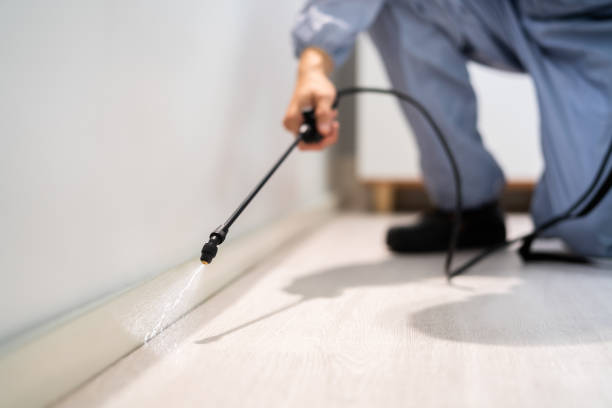 Rodent Entry Point Assessment in Red Bank