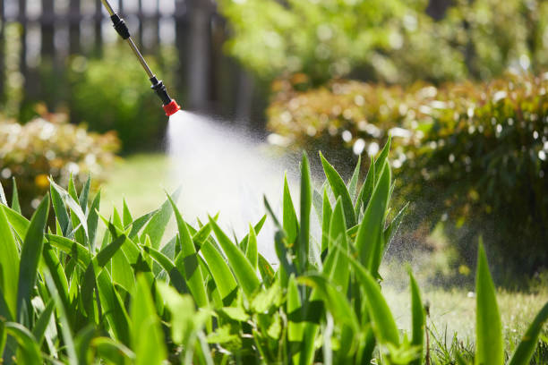 Tamper-Resistant Bait Stations for Rodents in Red Bank
