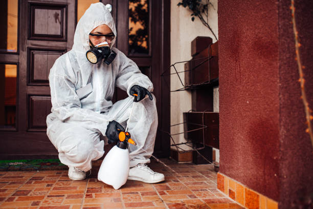 Attic and Crawl Space Rodent Treatment in Red Bank